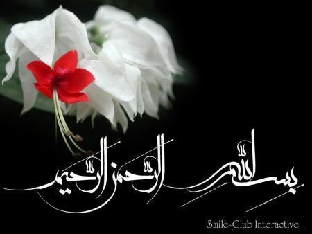 ...........................